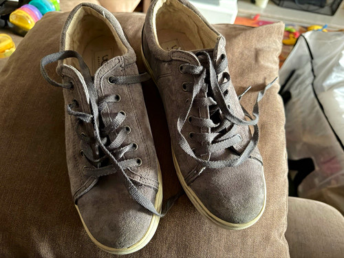 Ugg australia grey suede - australia, low